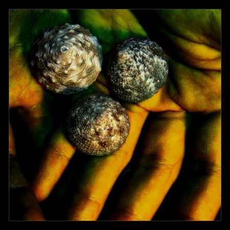 Kliknij by zobaczy� oryginalny obraz