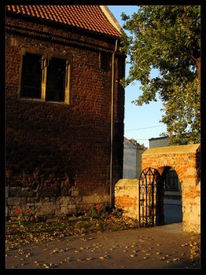 Kliknij by zobaczy� oryginalny obraz