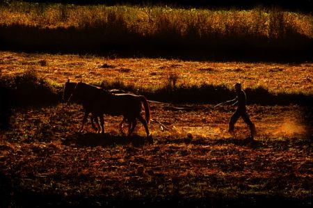 Kliknij by zobaczy� oryginalny obraz