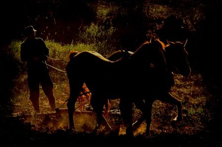 Kliknij by zobaczy� oryginalny obraz