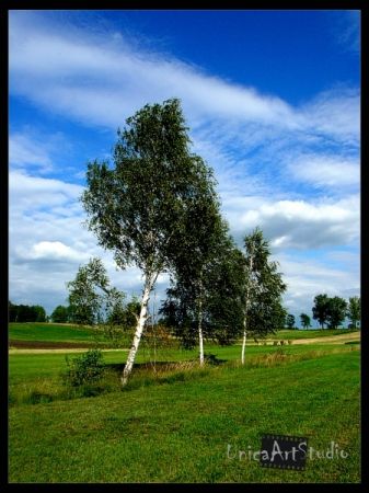 Kliknij by zobaczy� oryginalny obraz