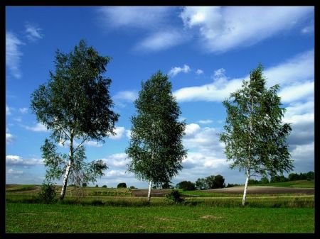 Kliknij by zobaczy� oryginalny obraz