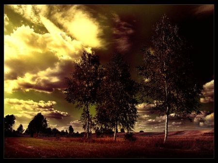 Kliknij by zobaczy� oryginalny obraz