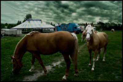 Kliknij by zobaczy� oryginalny obraz