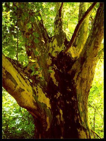 Kliknij by zobaczy� oryginalny obraz