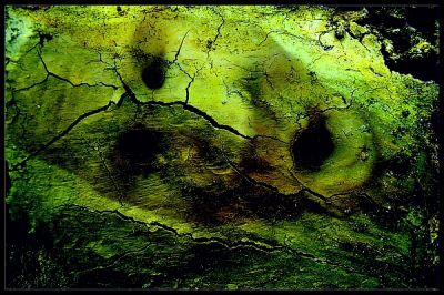 Kliknij by zobaczy� oryginalny obraz