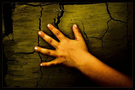 Kliknij by zobaczy� oryginalny obraz