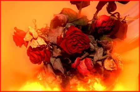 Kliknij by zobaczy� oryginalny obraz