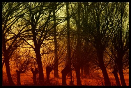 Kliknij by zobaczy� oryginalny obraz