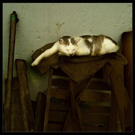 Kliknij by zobaczy� oryginalny obraz