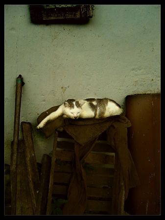 Kliknij by zobaczy� oryginalny obraz