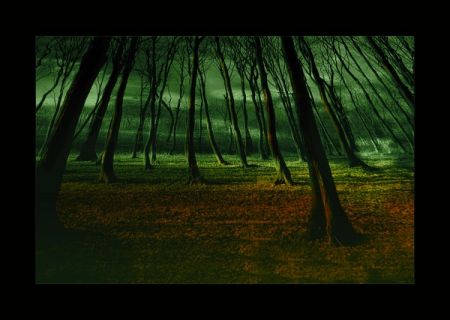 Kliknij by zobaczy� oryginalny obraz