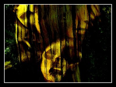 Kliknij by zobaczy� oryginalny obraz