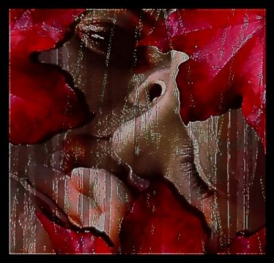 Kliknij by zobaczy� oryginalny obraz