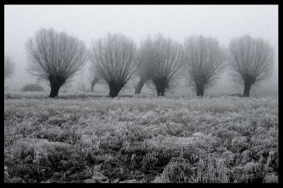 Kliknij by zobaczy� oryginalny obraz