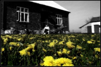 Kliknij by zobaczy� oryginalny obraz