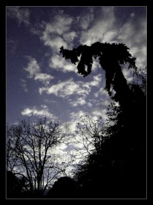 Kliknij by zobaczy� oryginalny obraz