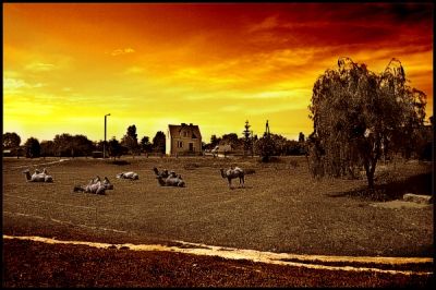 Kliknij by zobaczy� oryginalny obraz