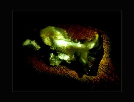 Kliknij by zobaczy� oryginalny obraz