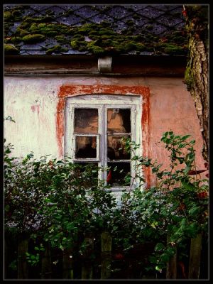 Kliknij by zobaczy� oryginalny obraz