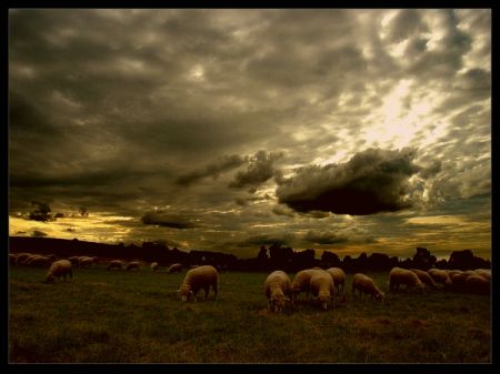 Kliknij by zobaczy� oryginalny obraz