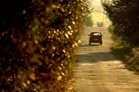 Kliknij by zobaczy� oryginalny obraz