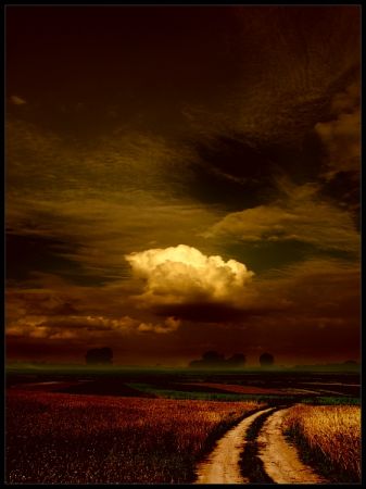 Kliknij by zobaczy� oryginalny obraz