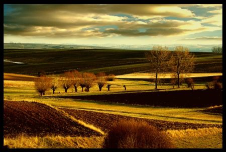 Kliknij by zobaczy� oryginalny obraz