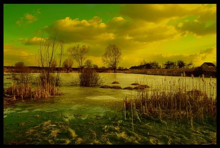 Kliknij by zobaczy� oryginalny obraz