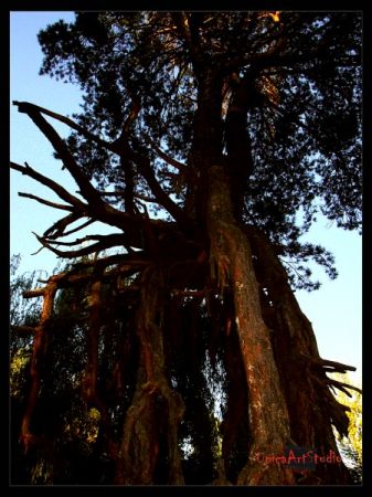 Kliknij by zobaczy� oryginalny obraz