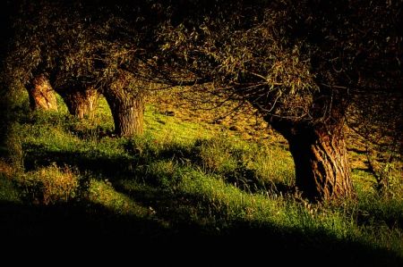 Kliknij by zobaczy� oryginalny obraz