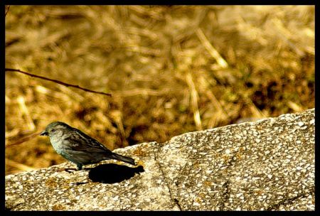 Kliknij by zobaczy� oryginalny obraz