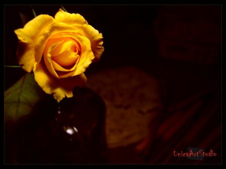 Kliknij by zobaczy� oryginalny obraz