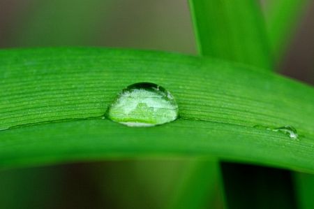 Kliknij by zobaczy� oryginalny obraz