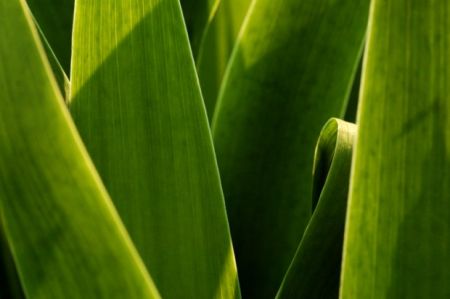 Kliknij by zobaczy� oryginalny obraz