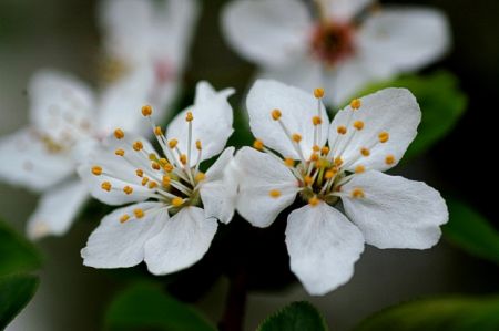 Kliknij by zobaczy� oryginalny obraz